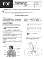 Ciencias Julio. Guia 9 Sistema Respiratorio