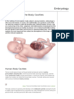 Development of The Body Cavities: Embryology