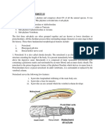 Animal Diversity II - Introduction (Protochordates) PDF