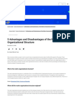 5 Advantages and Disadvantages of The Matrix Organizational Structure