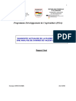 Rapport Diagnostic Manioc Avri