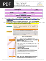 PDF Documento