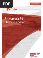 Primavera P6 EPPM R16 Basico Cliente-Servidor Portugues V2