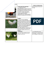 Different Breeds of Chickens Utility/Purposes: Domesticus) The Grey Junglefowl, Sri