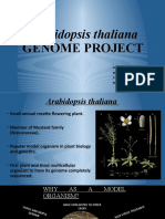 Arabidopsis Thaliana GENOME PROJECT