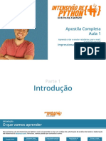 Apostila Intensivão de Python - Aula 1