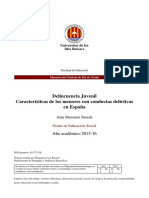 Características de Los Menores Con Conductas Delictivas