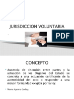 JURISDICCION VOLUNTARIA (Autoguardado)