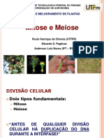 AULA 6 Mitose - Meiose