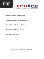 La Libertad Sindical en Honduras