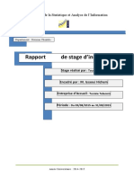 Rapport de Stage Dinsertion Professionne