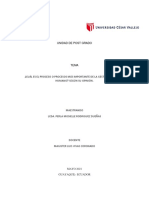 Mapa de Procesos - Rodriguez Dueñas