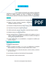 AUDITORIA Papeles de Trabajo