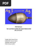 Protocolo de Las Reacciones de Oxido Reducción en La Plata