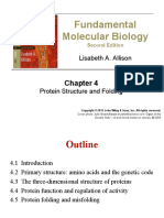 Fundamental Molecular Biology: Lisabeth A. Allison