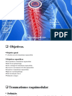 Traumatismo Raquimedular, Trabalho Final