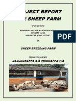 Sheep Farming Report Final