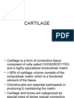 CARTILAGE