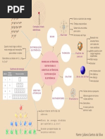 Mapa Mental - Química