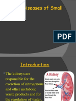 Renal Disease of Small Animals