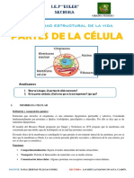 Biología - Primero