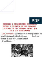 Historia y Orga-Wps Office