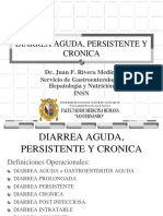 Diarrea Aguda, Persistente y Cronica