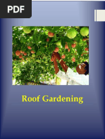 Roof Gardening