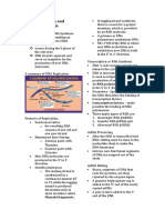 DNA Replication and Protein Synthesis