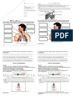 Activity No. 1 Science 9