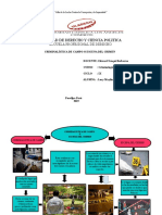 Criminalistica de Campo o Escena Del Crimen