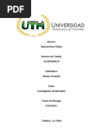 Tarea de Investigacion de Mercados Samuel Enoc Reyes