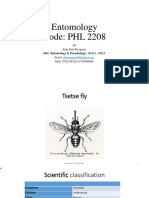 Tsetse Flies Lecture Notes