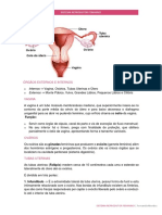 Sistema Reprodutor Feminino