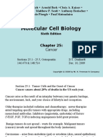 Molecular Cell Biology