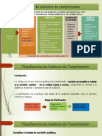 Semana 5 Proceso de Auditoria y Planificacion de Auditoria