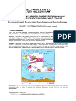 Mellitah Oil & Gas B.V. Joint Projects Team