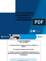 Tema 4 - DIAPOSITIVAS REQUERIMIENTO Y AUDIENCIA DE SOBRESEIMIENTO