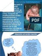 Adaptación Neonatal