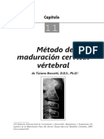 Anàlisis de Vertebras