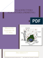 Circulación Útero Placentaria (Primitiva)