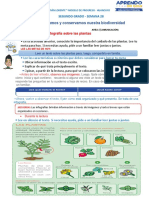 SEMANA 28 - 2do Grado