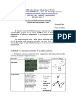 Guia de Actividades Acidos Nucleicos