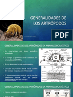 Generalidades Artropodos