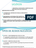 Ácidos Nucléicos