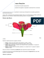 Tipos de Flores e Suas Funções