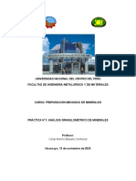 Practica N°1 Analisis Granulometrico de Minerales