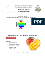 ELABORACION DE NECTAR de Mango