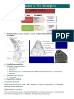 Filo Apicomplexa - Parasitologia Veterinária