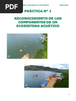 Practica 1 Ecologia